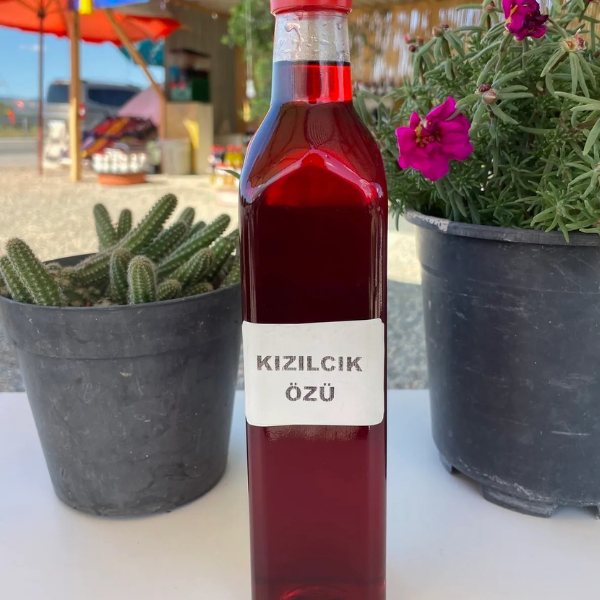 Doğal Kızılcık Özü 850g