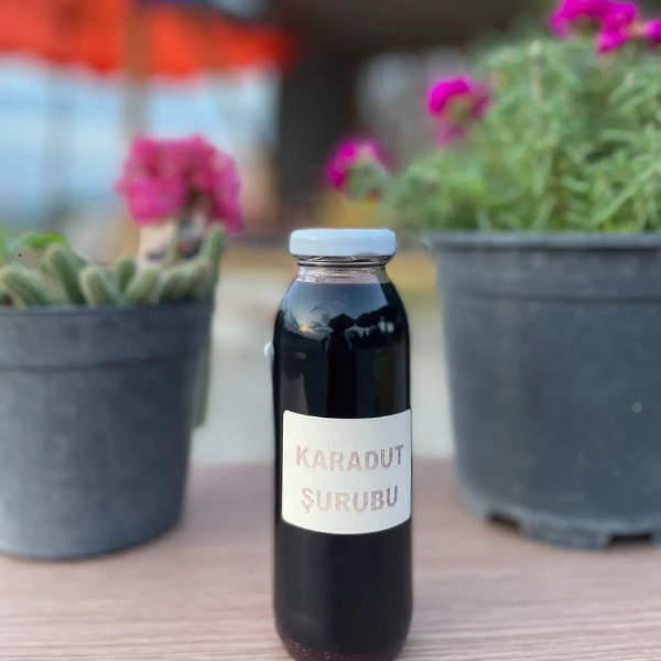 Doğal Şekersiz Karadut Şurubu 260ml
