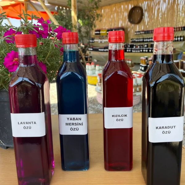 4 Adet Karadut Yabanmersini Kızılcık Lavanta Özü 700g