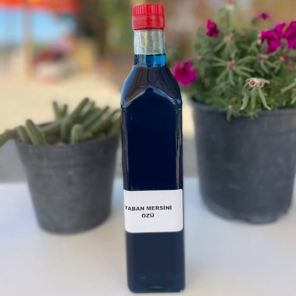 Doğal Yaban Mersini Özü 700 gr