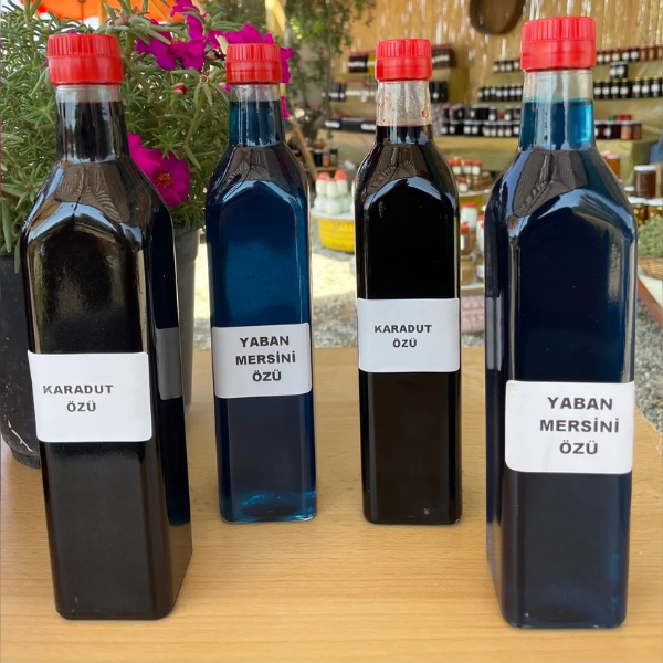 2 Adet Karadut Özü 2 Adet Yaban Mersini Özü 700g