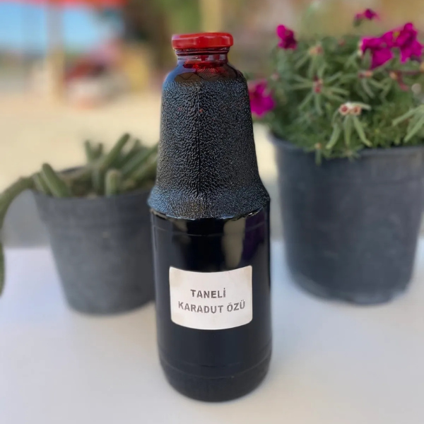 Taneli Parçacıklı Doğal Karadut Özü 1400g